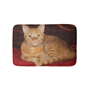 Alfombrilla De Baño Sonrisa anaranjada del gato de Tabby del moho