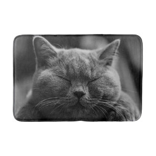 Alfombrilla De Baño Tiro gris Napping de la cabeza del gato