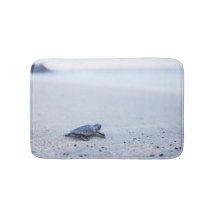 Tortuga de mar del bebé