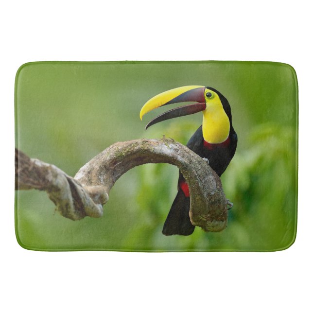 Alfombrilla De Baño Toucan sentado en la rama del bosque (Anverso)