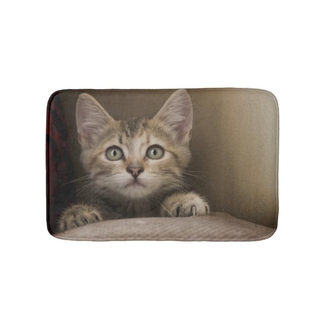 Alfombrilla De Baño Un gatito muy dulce del Tabby (Anverso)