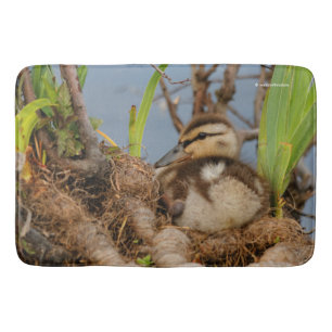 Alfombrilla De Baño Un lindo y precocioso Duckling Mallard