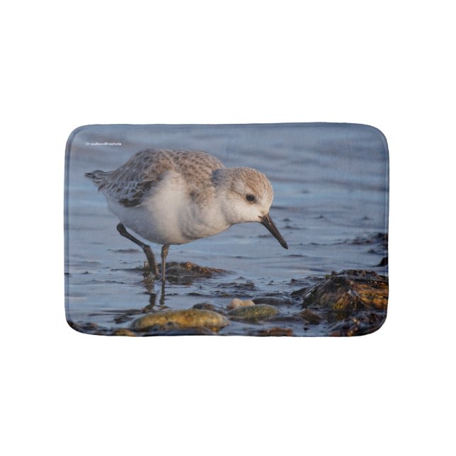 Alfombrilla De Baño Un Sanderling (Anverso)