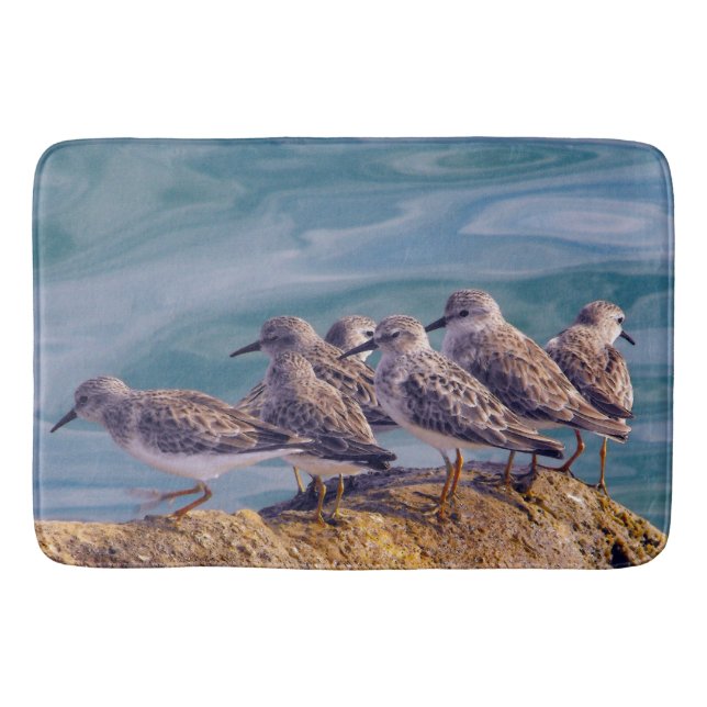 Alfombrilla De Baño Young Ruddy Turnstones (Anverso)