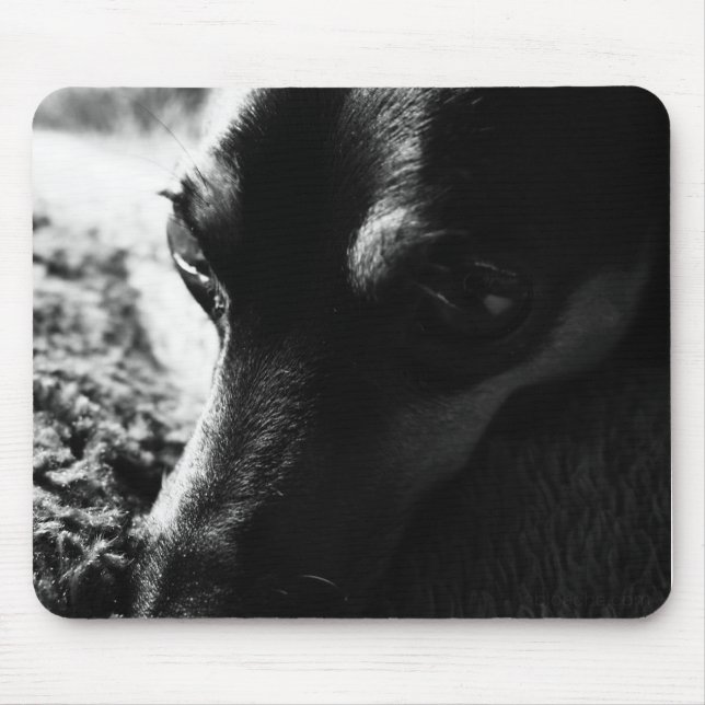 ALFOMBRILLA DE RATÓN ミニチュアピンシャー マウスパッド (Frente)