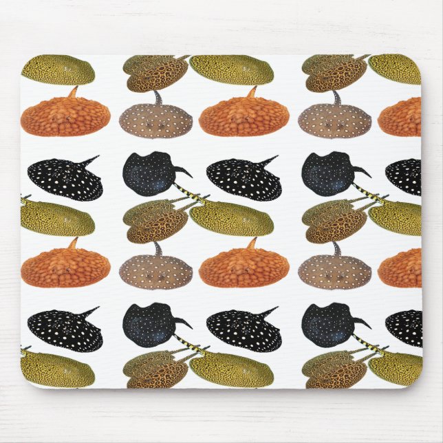 Alfombrilla De Ratón 南 米 産 淡 エ の 水・~ ・・・・・・,No.05 (Frente)