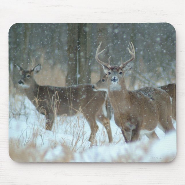 ALFOMBRILLA DE RATÓN 011110-57-AMP (Frente)