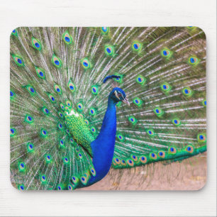 Alfombrilla De Ratón 0601-Peacock