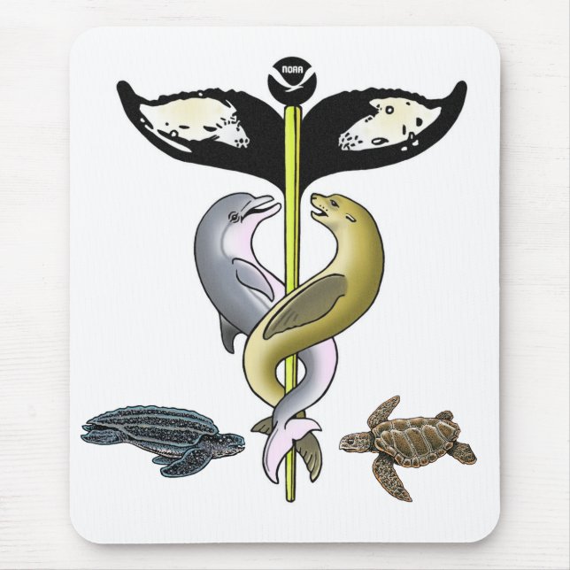 Alfombrilla De Ratón 2010 NMAHC Mousepad (Frente)