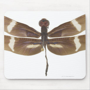 ALFOMBRILLA DE RATÓN 23599152