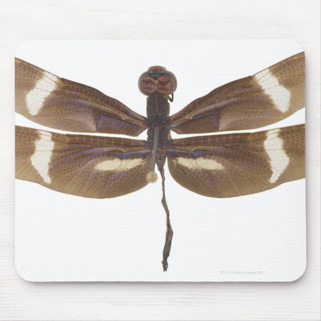 ALFOMBRILLA DE RATÓN 23599152 (Frente)