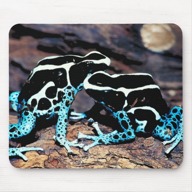 ALFOMBRILLA DE RATÓN 23898179 (Frente)