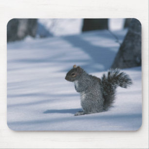 ALFOMBRILLA DE RATÓN 23936348