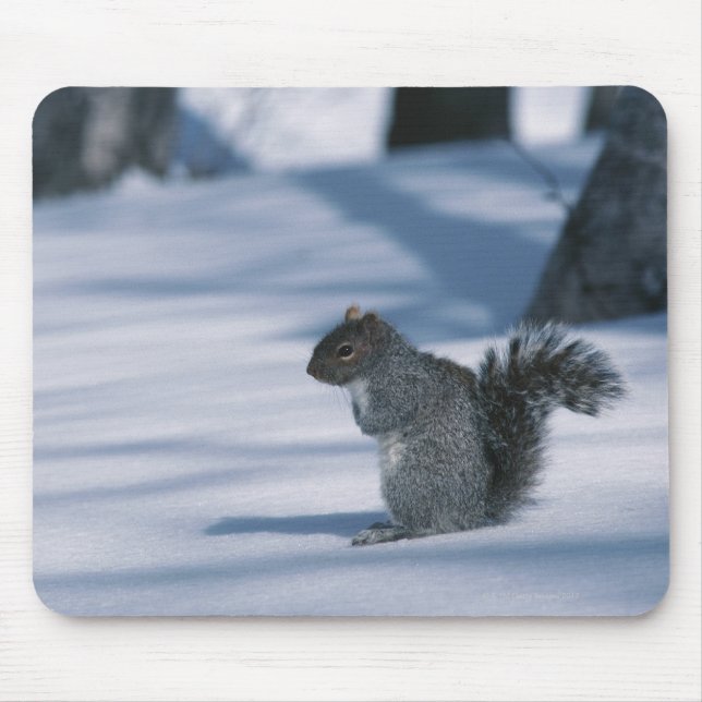 ALFOMBRILLA DE RATÓN 23936348 (Frente)