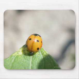 ALFOMBRILLA DE RATÓN 24102386