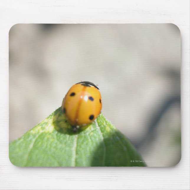 ALFOMBRILLA DE RATÓN 24102386 (Frente)