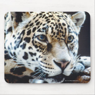 ALFOMBRILLA DE RATÓN 24114363