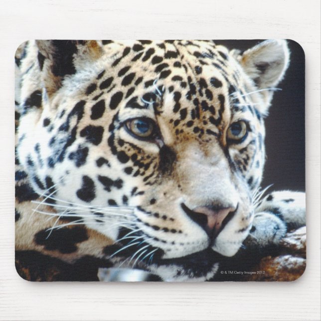 ALFOMBRILLA DE RATÓN 24114363 (Frente)