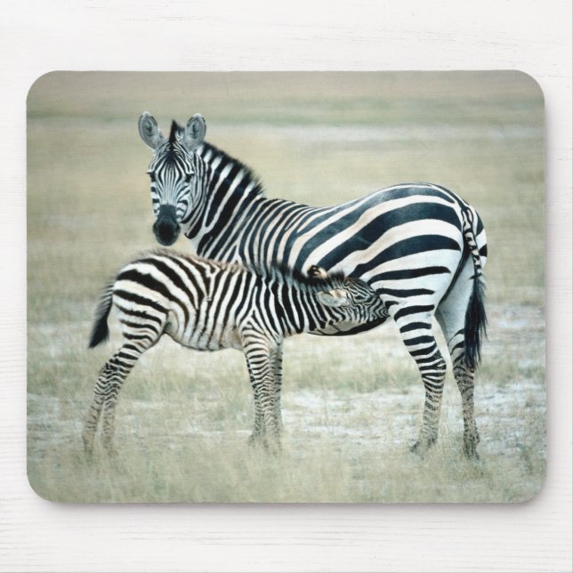 ALFOMBRILLA DE RATÓN 24114480 (Frente)