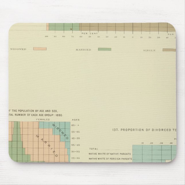 Alfombrilla De Ratón 32 Condición conyugal, divorciada en 1890 (Frente)