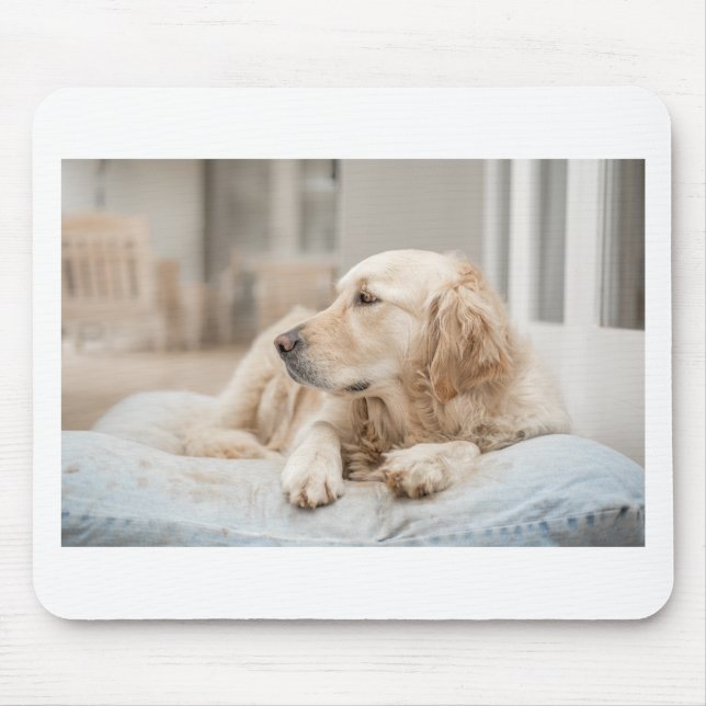 Alfombrilla De Ratón 34137641_xxl (Frente)