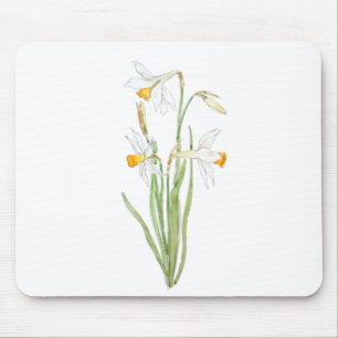 Alfombrilla De Ratón 3 daffodias y acuarelas blancas