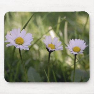 Alfombrilla De Ratón 3 Gänseblümchen