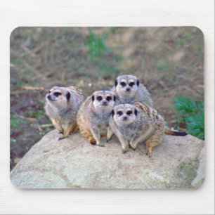 Alfombrilla De Ratón 4 Meerkats Mousepad de mirada