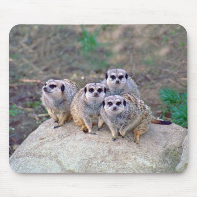 Alfombrilla De Ratón 4 Meerkats Mousepad de mirada (Frente)