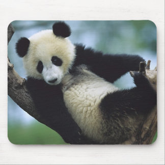 Alfombrilla De Ratón 557711600wb1fp3