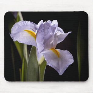 Alfombrilla De Ratón 7659-2-Morado Iris