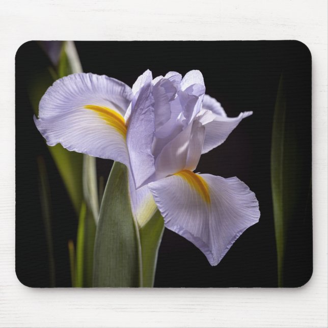 Alfombrilla De Ratón 7659-2-Morado Iris (Frente)