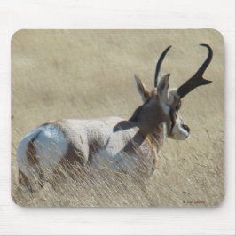 Alfombrilla De Ratón A14 Pronghorn Antelope Sunshine Buck