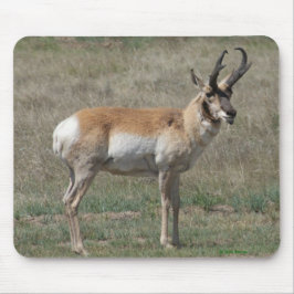 Alfombrilla De Ratón A15 Pronghorn Antelope Rude Buck