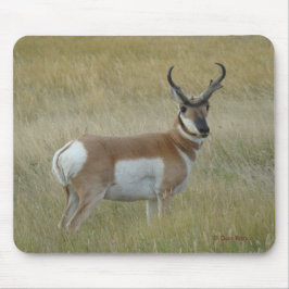 Alfombrilla De Ratón A1 Pronghorn Antelope Big Buck