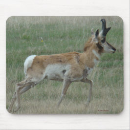 Alfombrilla De Ratón A32 Pronghorn Antelope Buck