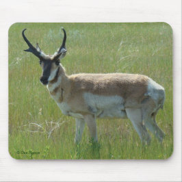 Alfombrilla De Ratón A36 Pronghorn Antelope Buck
