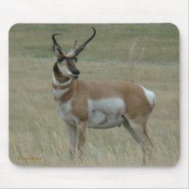 Alfombrilla De Ratón A37 Hornos Crocidos de Antelope Pronghorn