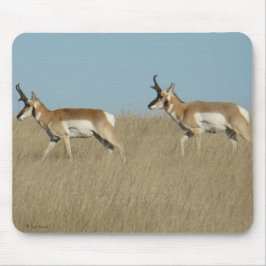 Alfombrilla De Ratón A45 Cúmulos de Antelope Pronghorn