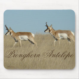 Alfombrilla De Ratón A45 Pronghorn Antelope Young Bucks