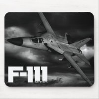 Aardvark F-111
