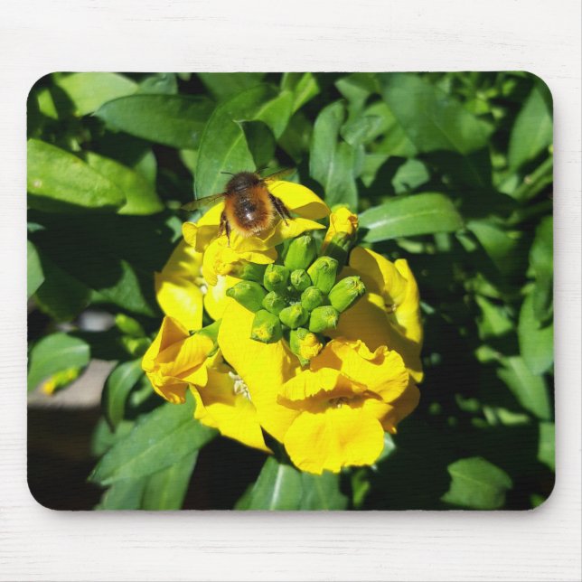 Alfombrilla De Ratón Abeja en flores amarillas (Frente)