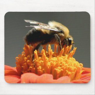 Alfombrilla De Ratón Abeja en la flor anaranjada