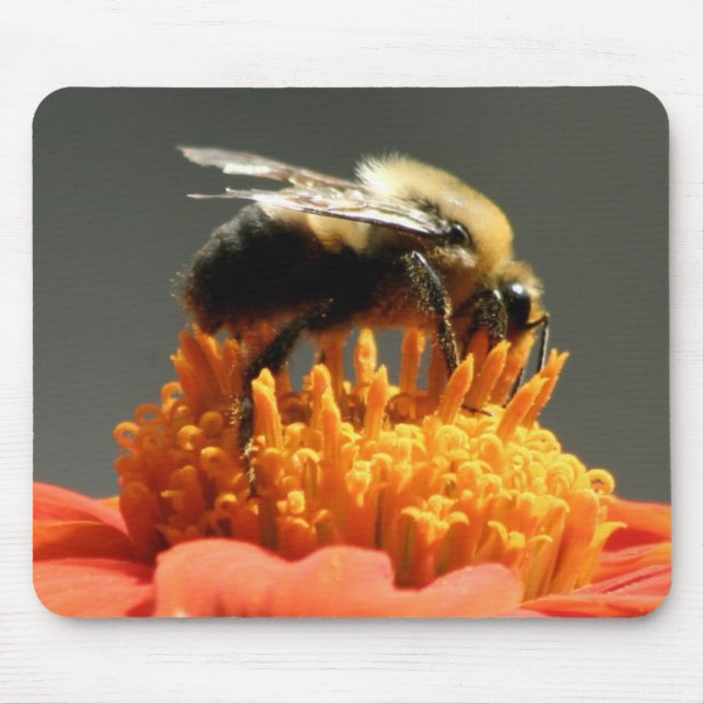 Alfombrilla De Ratón Abeja en la flor anaranjada (Frente)
