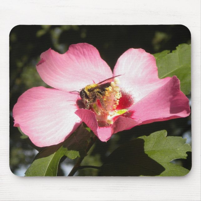 Alfombrilla De Ratón Abeja en un Rosa de Sharon 2 mousepad (Frente)