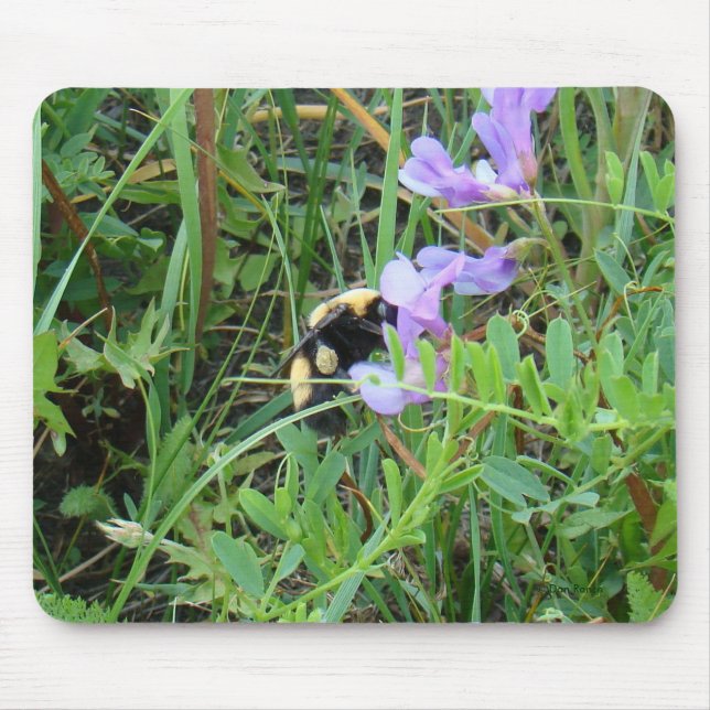 Alfombrilla De Ratón Abeja F2 en flores silvestres moradas (Frente)