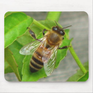 Alfombrilla De Ratón Abeja Melífera
