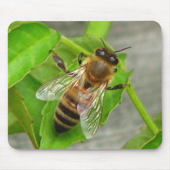 Alfombrilla De Ratón Abeja Melífera (Frente)