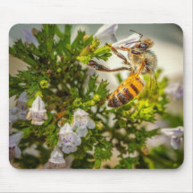 Abeja ocupada trabajando duro