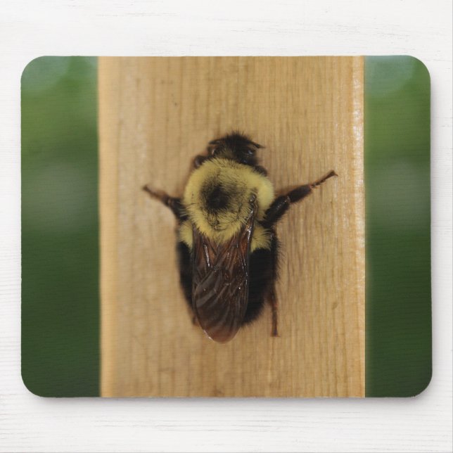 Alfombrilla De Ratón Abeja-zilla (Frente)